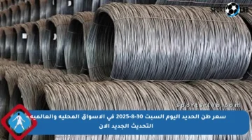 سعر طن الحديد اليوم السبت 30-8-2025 في الأسواق المحلية والعالمية – التحديث الجديد الآن